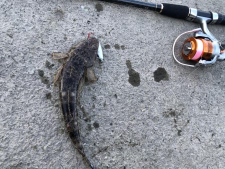 天降川のリベンジ