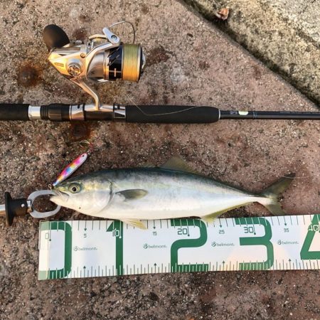 ショアジギング