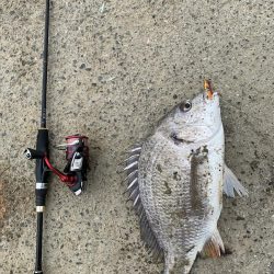 コロナ休み⇄釣り