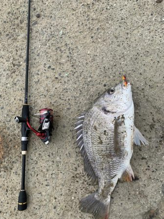 コロナ休み⇄釣り