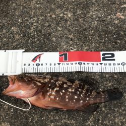 サイズダウン…