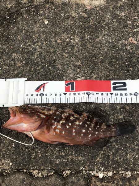 サイズダウン…