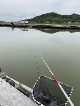 加西釣り池センター