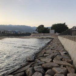 シーバスプラクティス