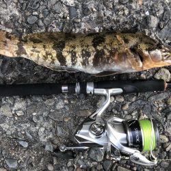 あれっ？なんかデカくない？