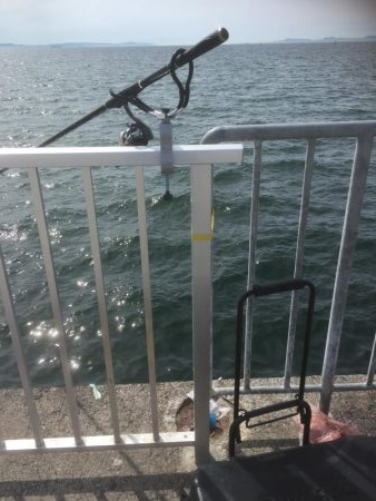 ハマチ狙いなんだけど。