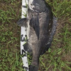 イチノ兄弟、釣果！