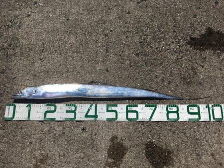 4目達成！今年初ドラゴン！