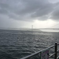 梅雨入りイワシ