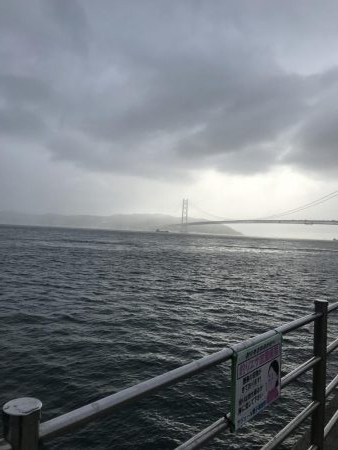 梅雨入りイワシ