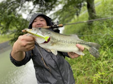 ジョインテットクローな生活。