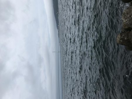 強風にお邪魔むし