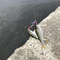 安定のサバゲー