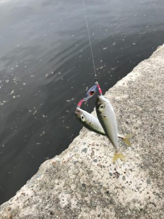 安定のサバゲー