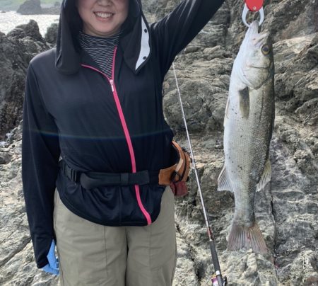 鴨川港よこ弁天島　泳がせで大物！　ヒラメとスズキ