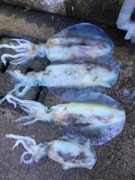 宮津西部〜丹後2キロ連発！！