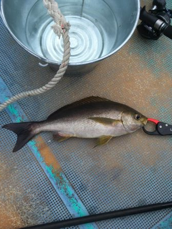 宍喰沖でタイラバ