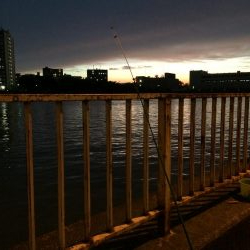 ウナギ釣りパート11