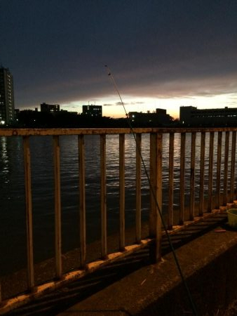 ウナギ釣りパート11