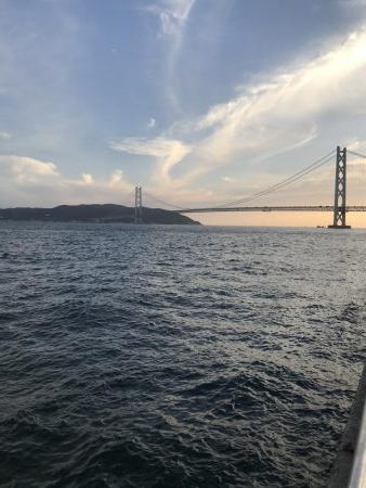 イワシさんいる