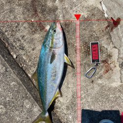 コブダイハント失敗