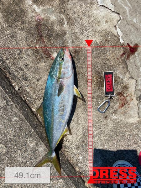 コブダイハント失敗