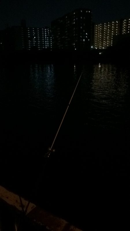 淀川のウナギ釣りパート8