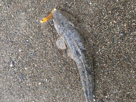 荒れたサーフ狙いはスズキ