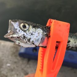 リベンジならず