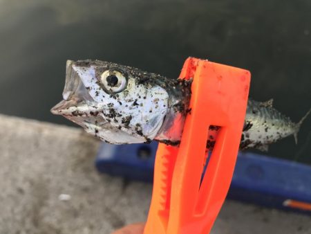 リベンジならず