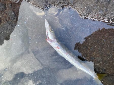 仕事終わりの釣行