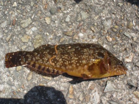 夫婦で市役所裏