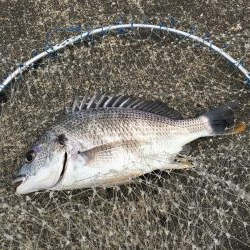 落とし込み　スライダー