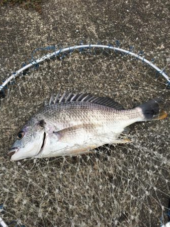 落とし込み　スライダー