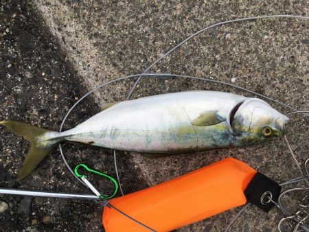 ストリンガーを使ってみた