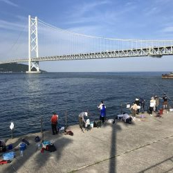 アジも皆既日食もしぶい