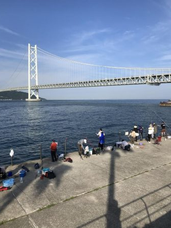 アジも皆既日食もしぶい