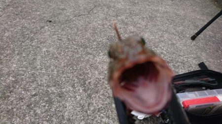 テキサスリグで沖のボトム狙い！！