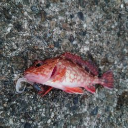 なんでだろう？