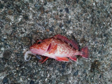 なんでだろう？