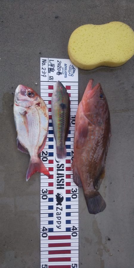 釣りを始めて３ヶ月初の大物‼…