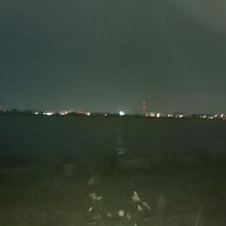 シーバス釣りからのチニング