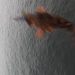 貝塚人工島へ寄り道