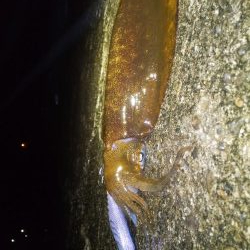 コロナが解除されて２回目の和歌山遠征!!