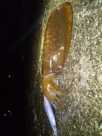 コロナが解除されて２回目の和歌山遠征!!