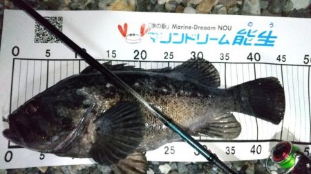 ショアフロートで弩級クロソイ