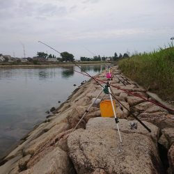 うなぎ釣り