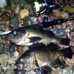 フロートメバリング