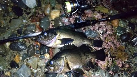 フロートメバリング