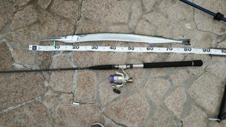 ライトショアジギングにて